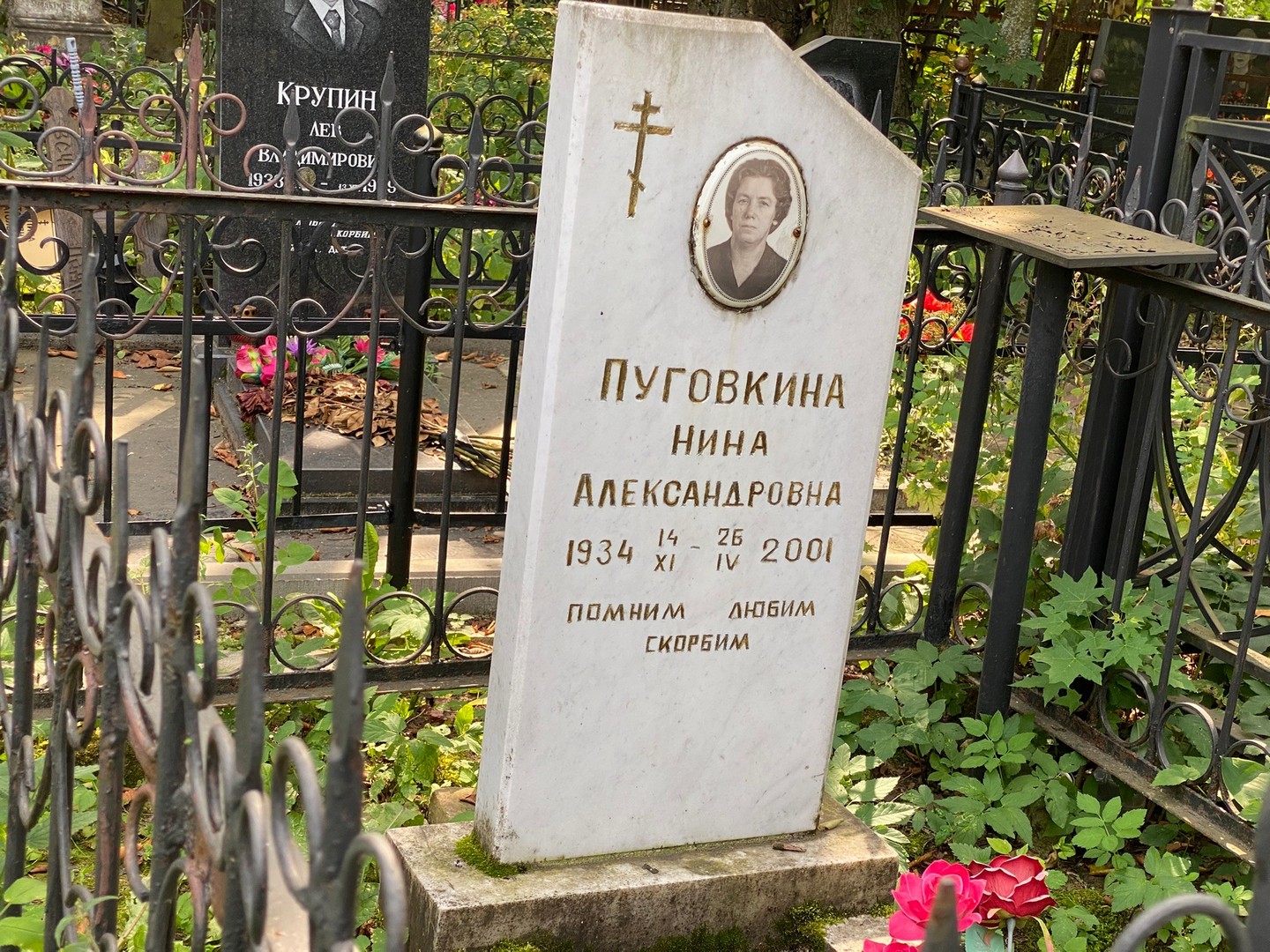 Пуговкина