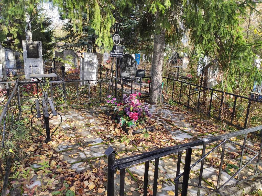 Манин Николай Федорович