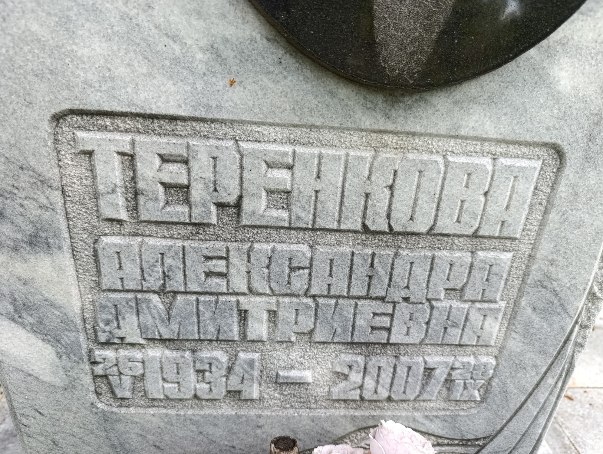 Теренкова Александра Дмитриевна