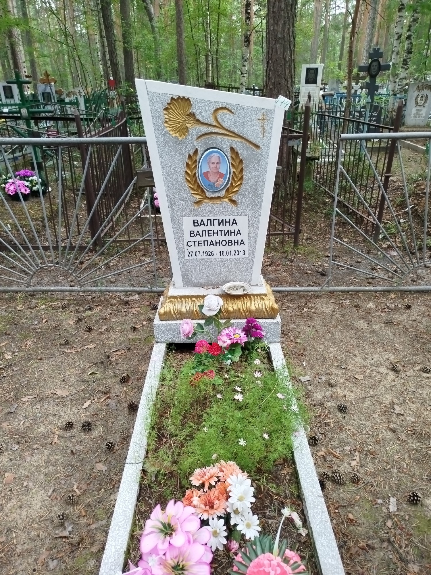 Валгина Валентина Степановна