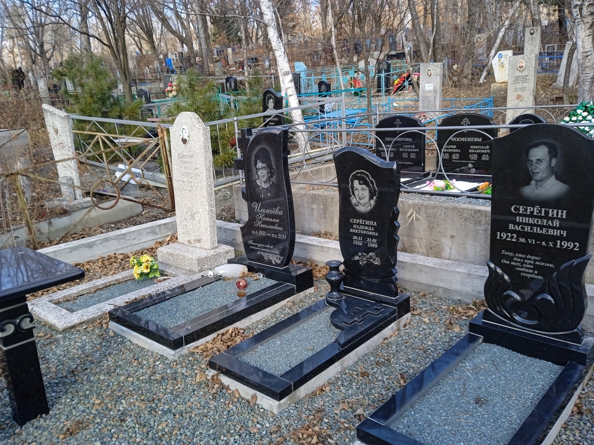 Серегина Надежда Викторовна