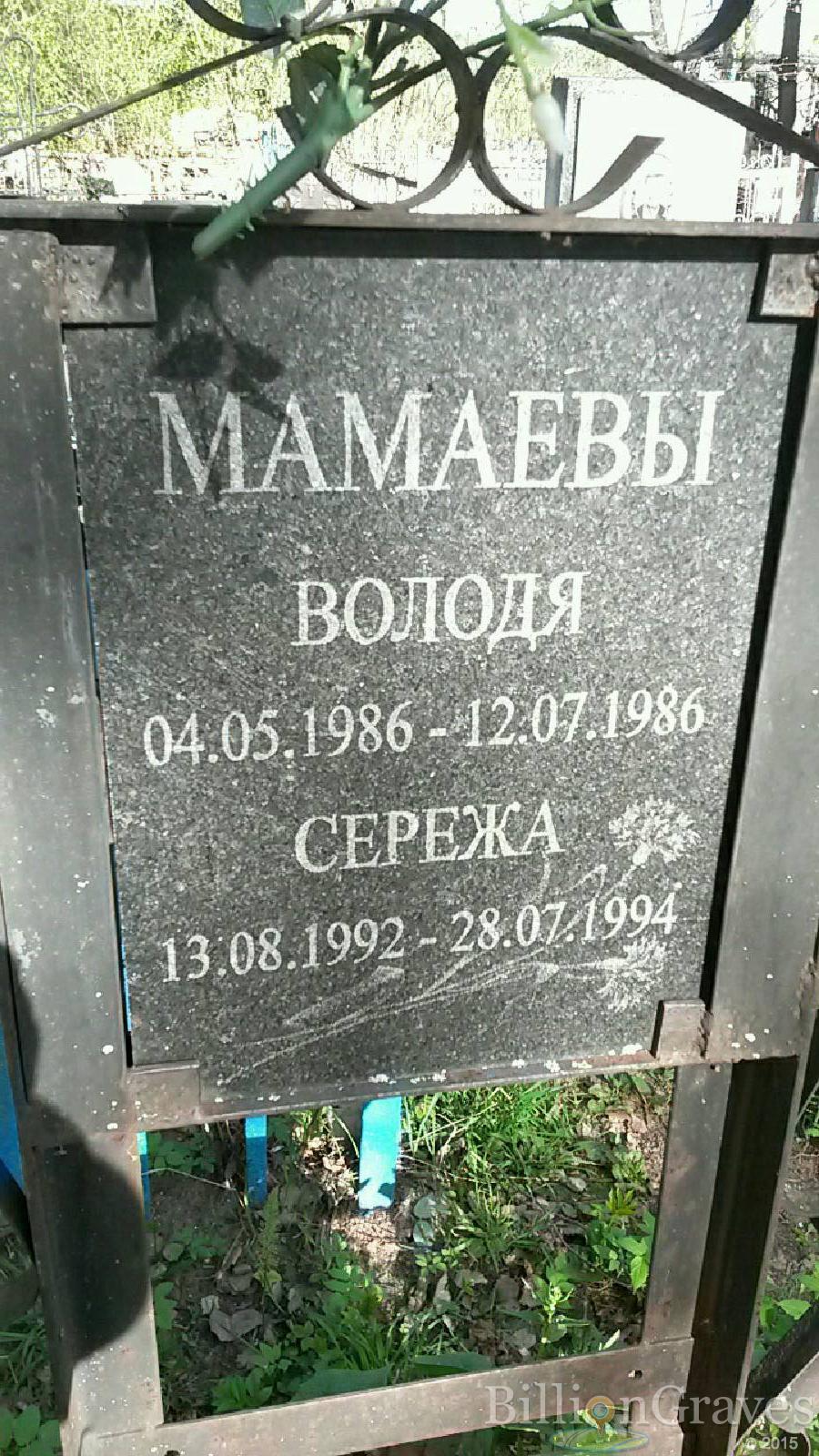 мамаев володя