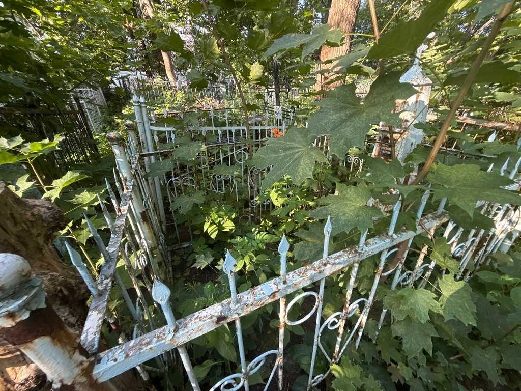 Митюгова Александра Александровна