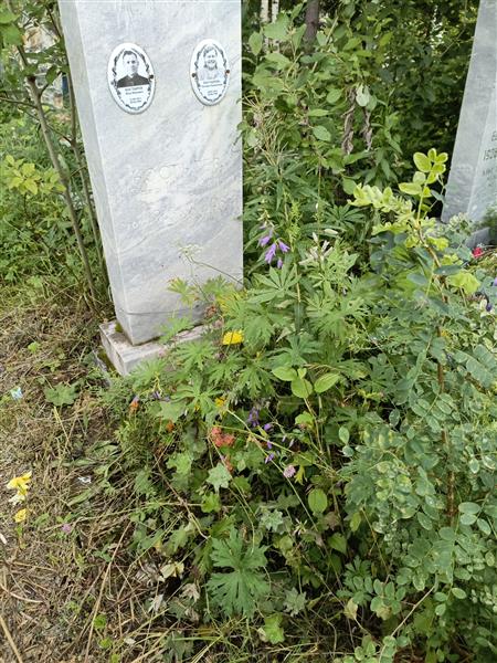 Костырева Татьяна Михайловна