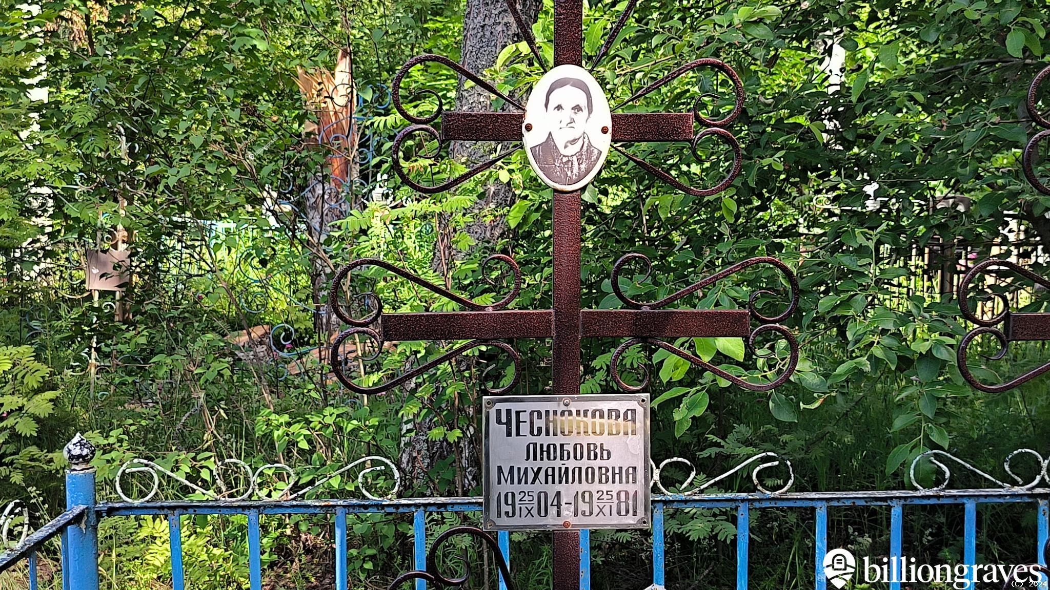 Чесноков Александр Иванович