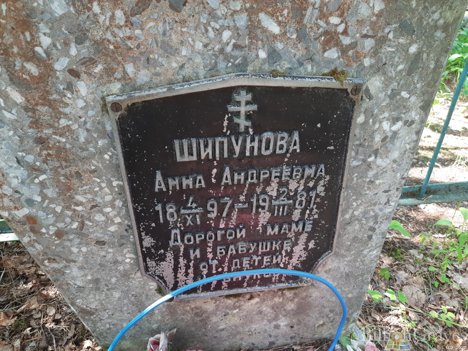 Шипунова Анна Андреевна