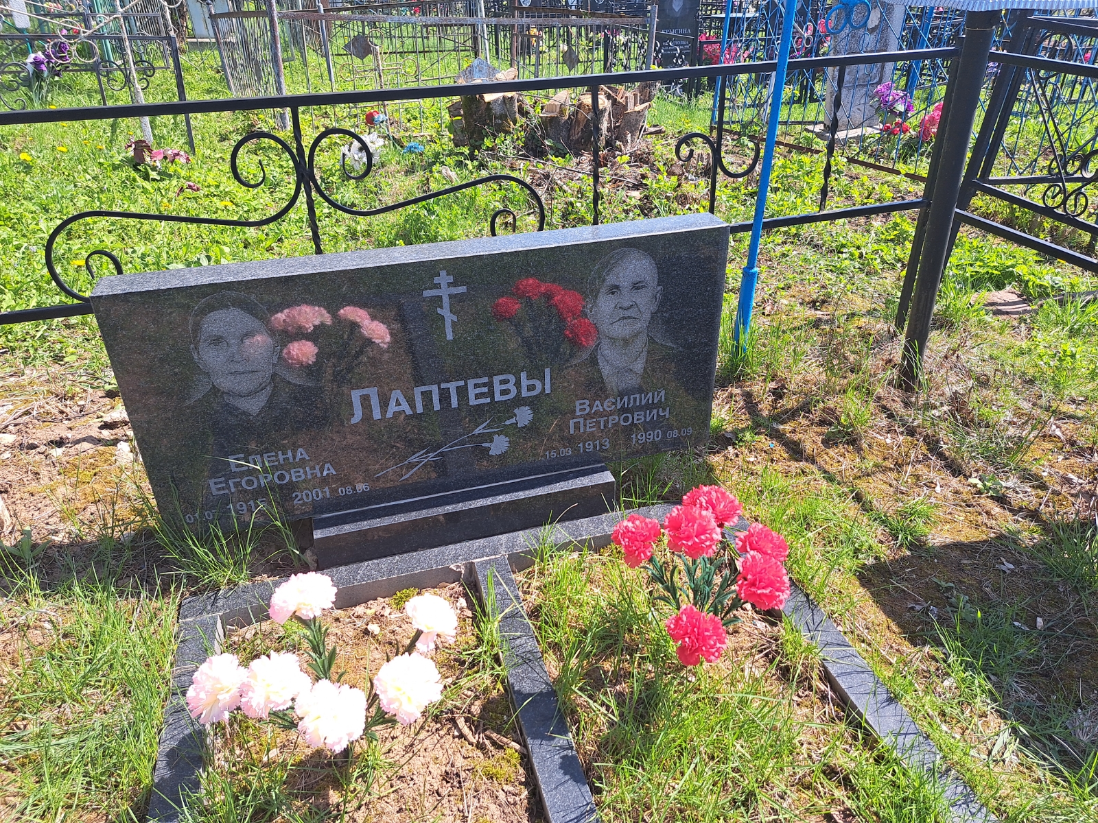 Лаптева Елена Егоровна
