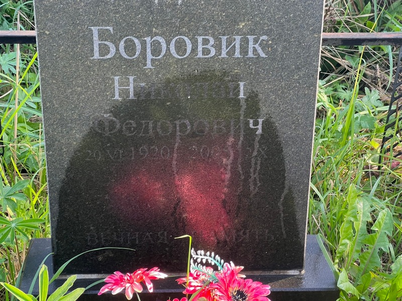 Боровик
