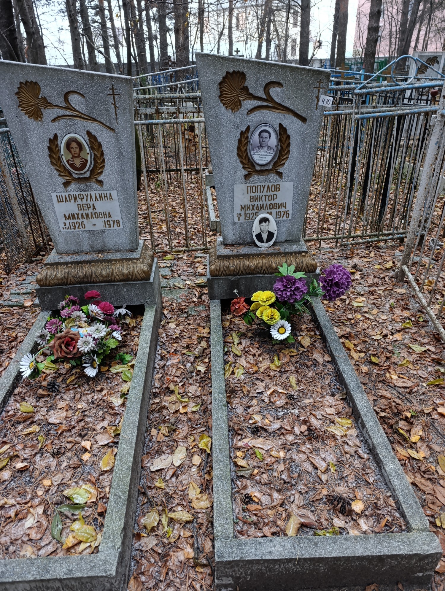 Шарифуллина Вера Михайловна