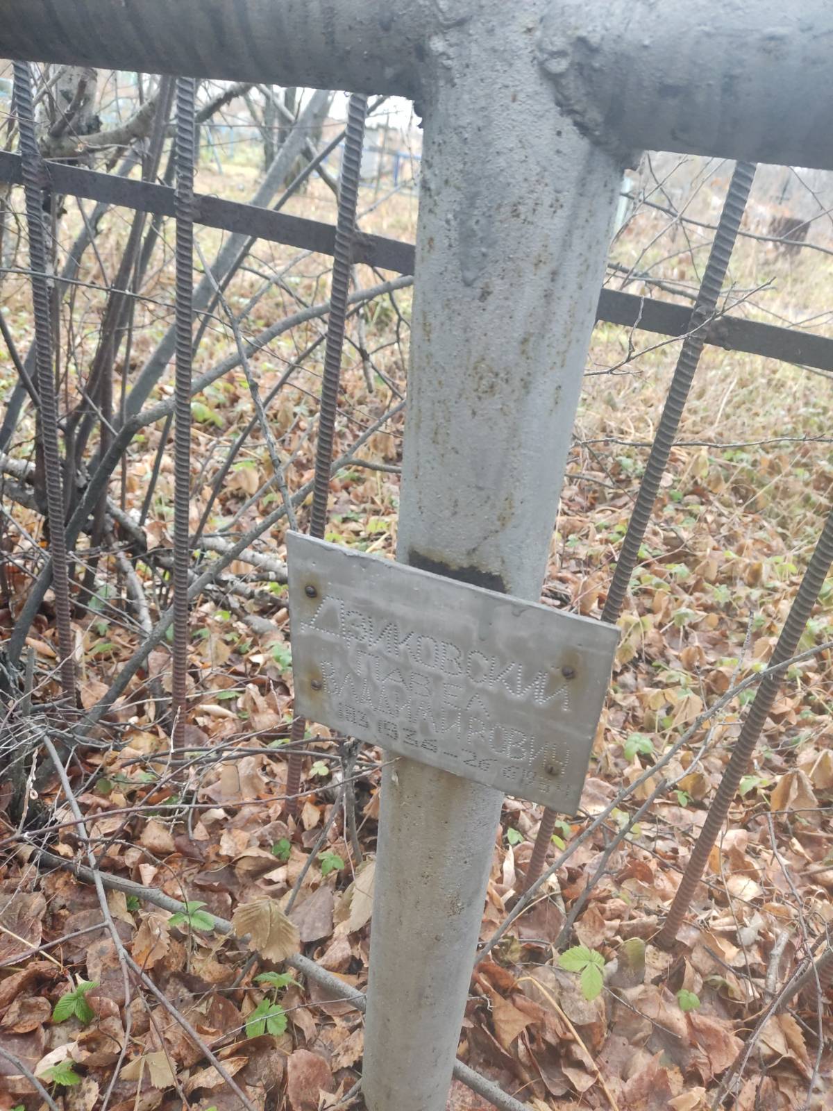 Дзиковский Павел