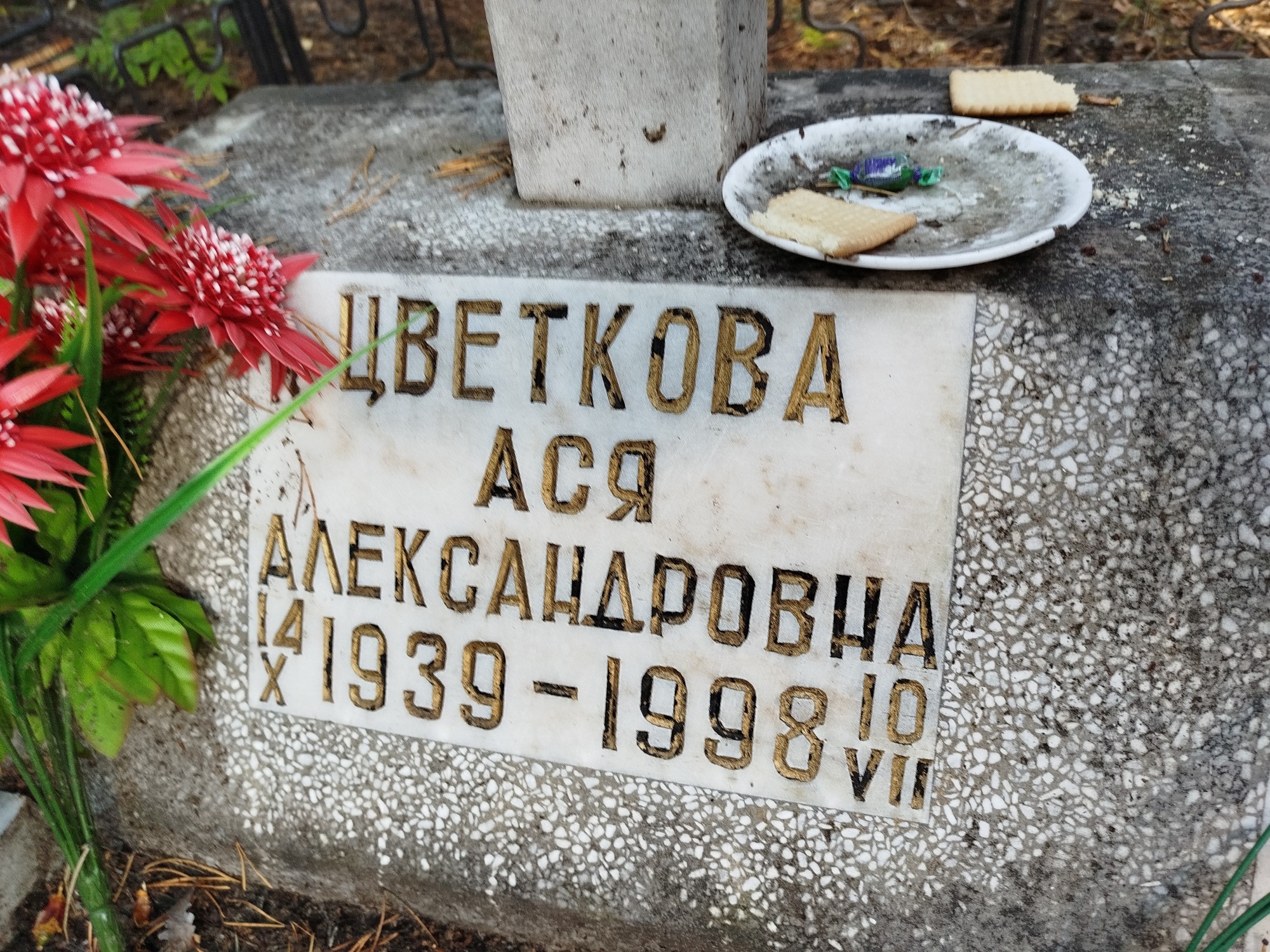 Цветкова Ася Александровна