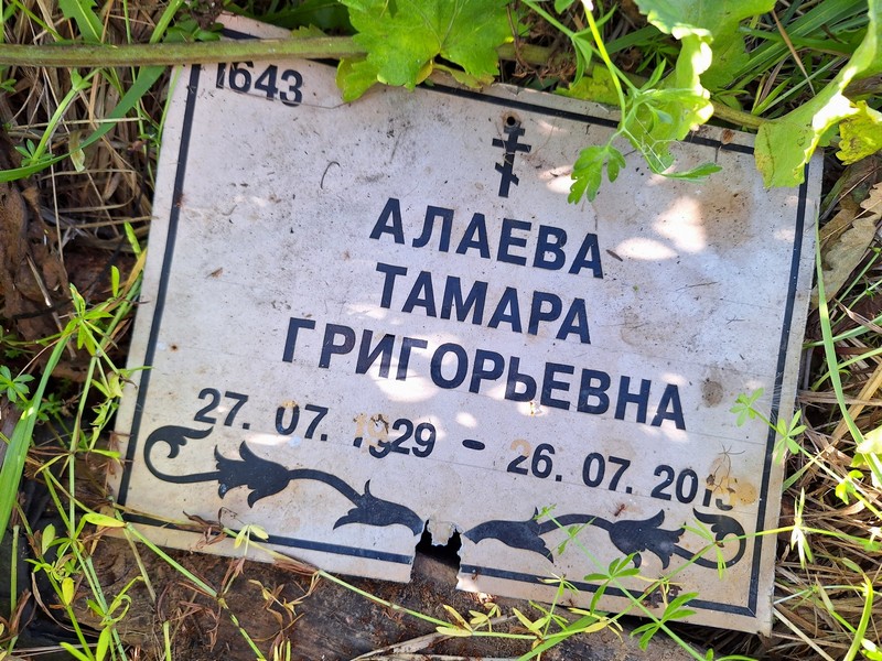 Алаева
