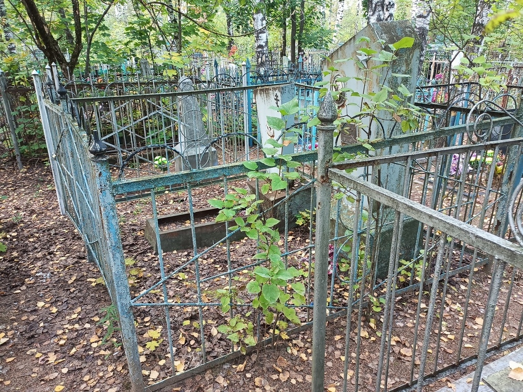 Гуторин Дмитрий Павлович