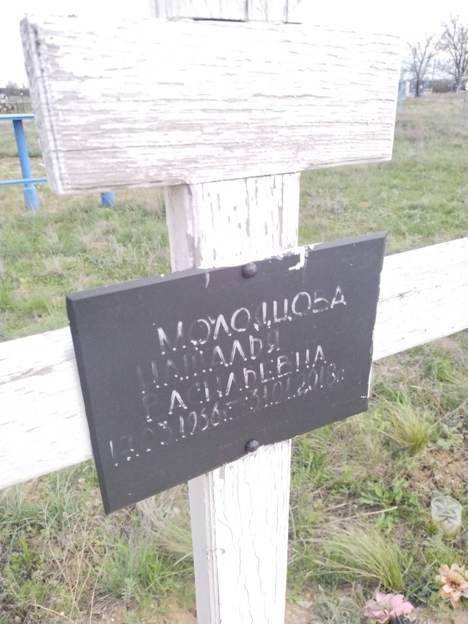 Молодцова Наталья Васильевна
