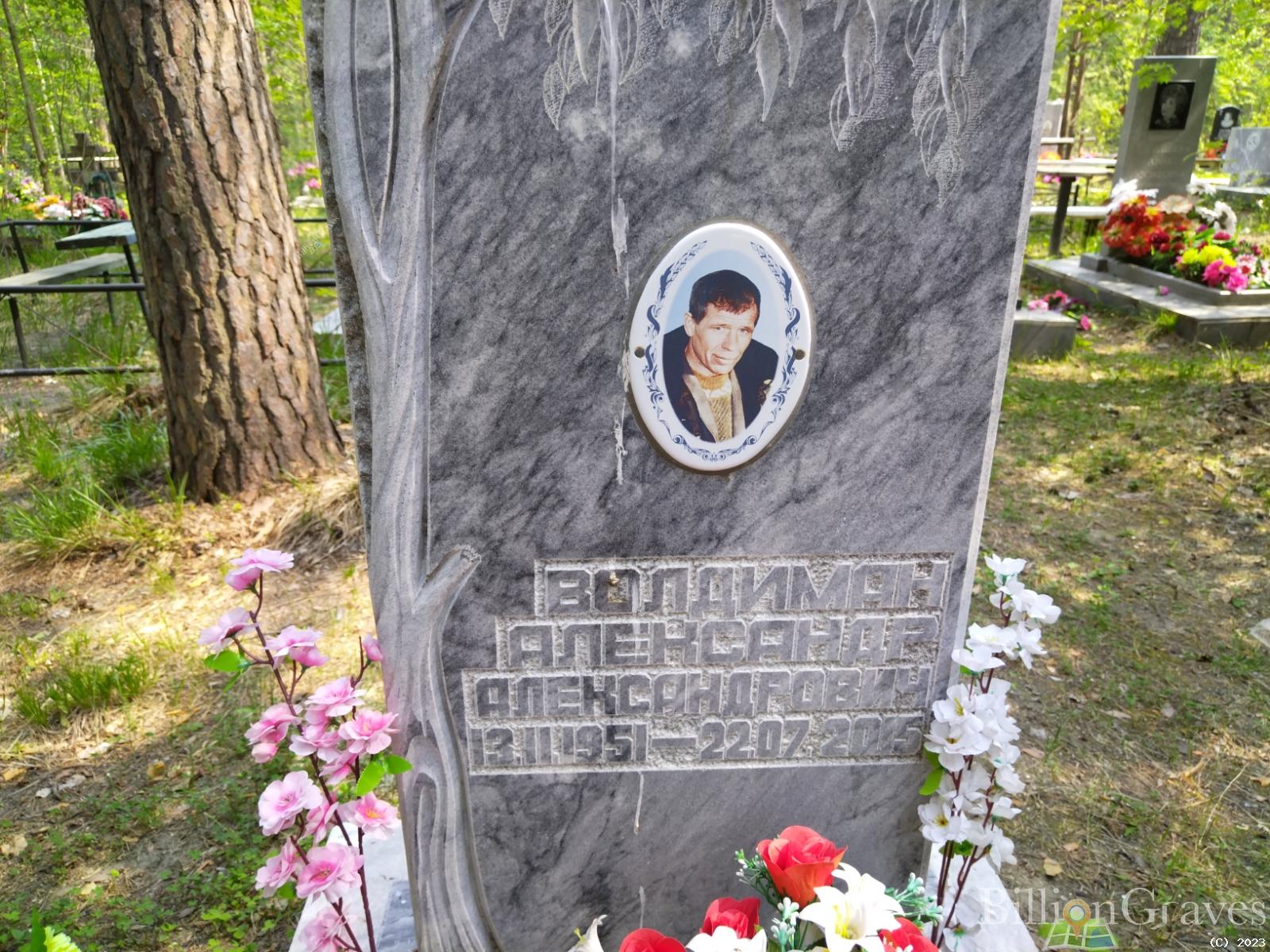 Волдиман Александр Александрович