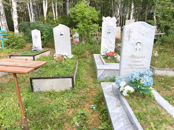 Швецова Александра Васильевна