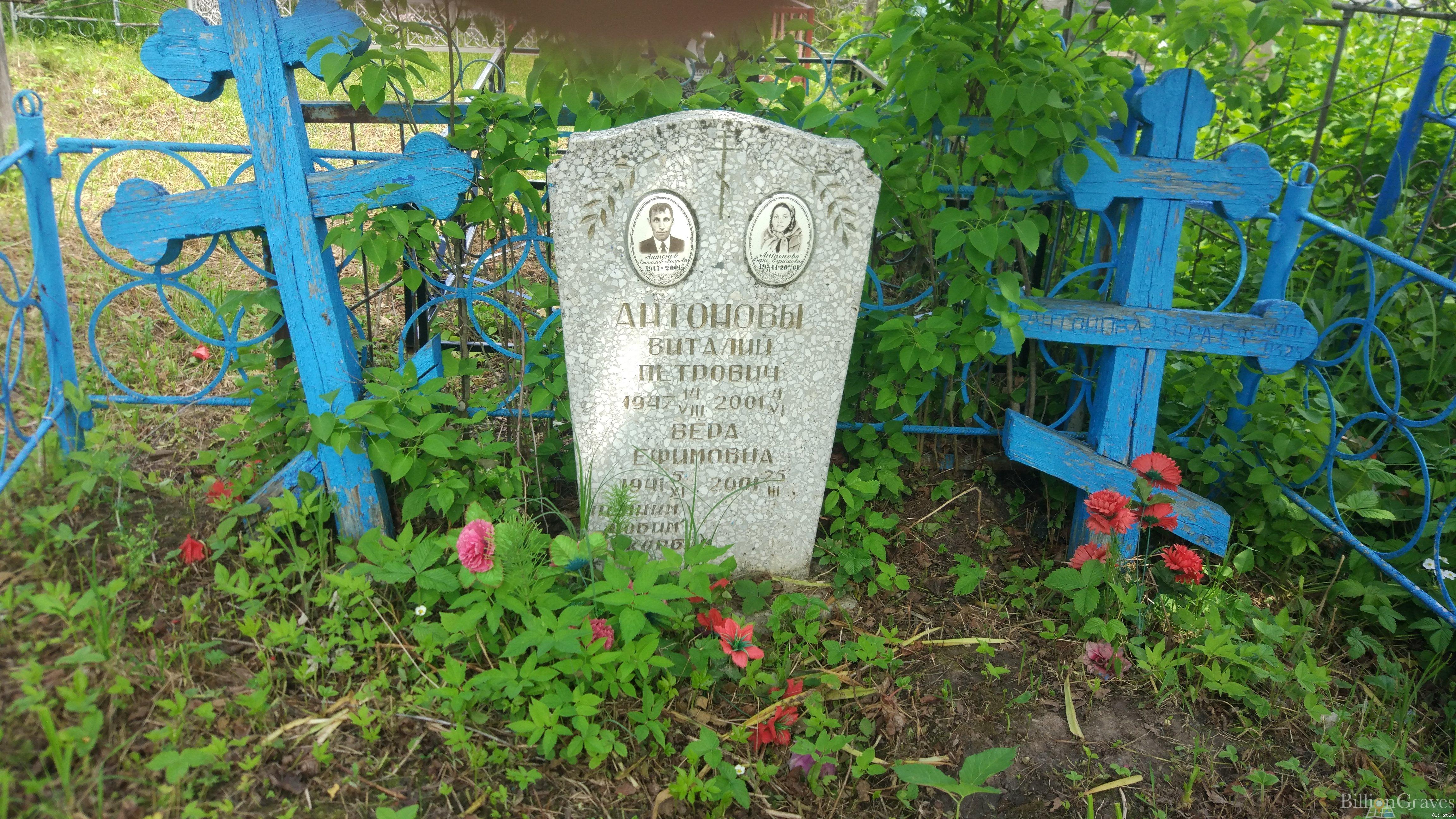 Антонова Вера Ефимовна