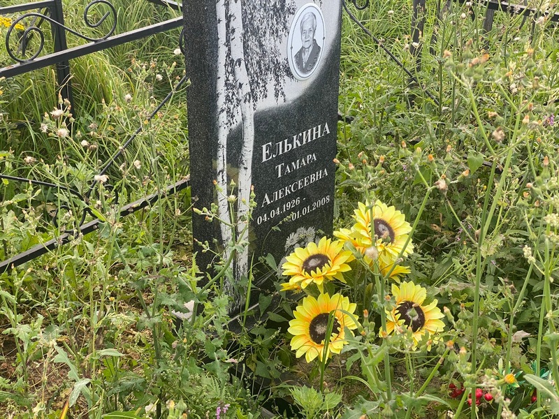 Елькина