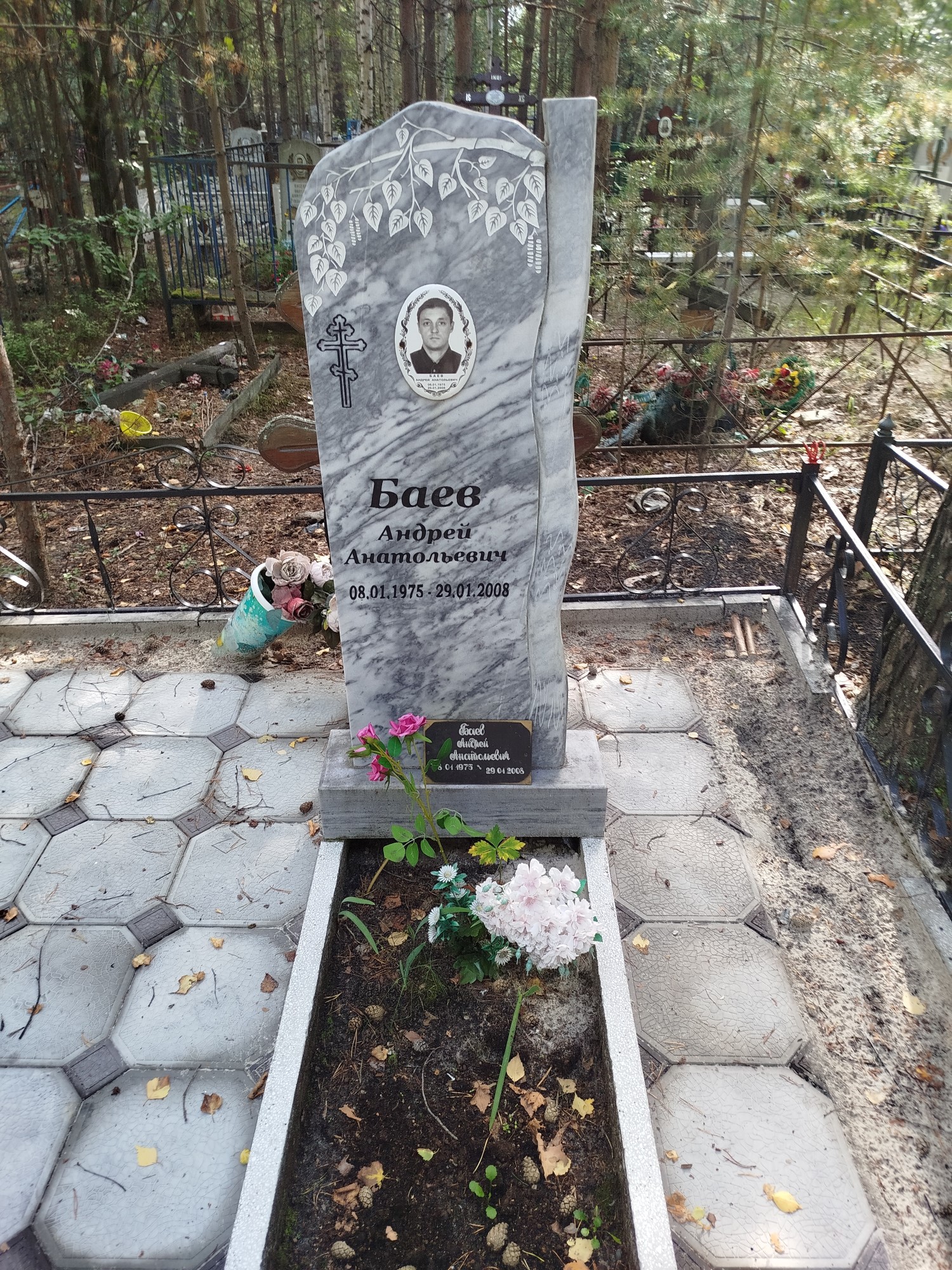 Баев Андрей Анатольевич