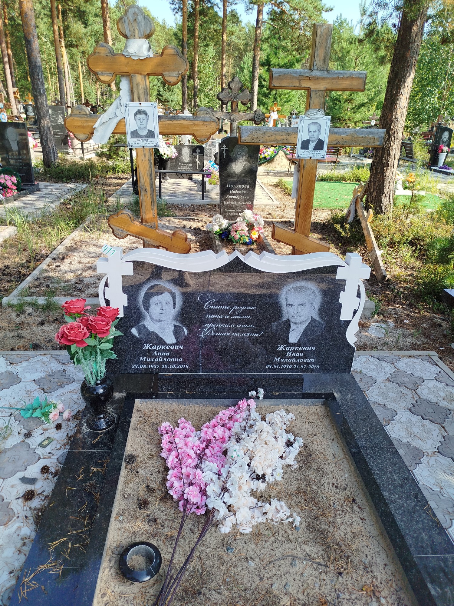 Жаркевич Анна Михайловна