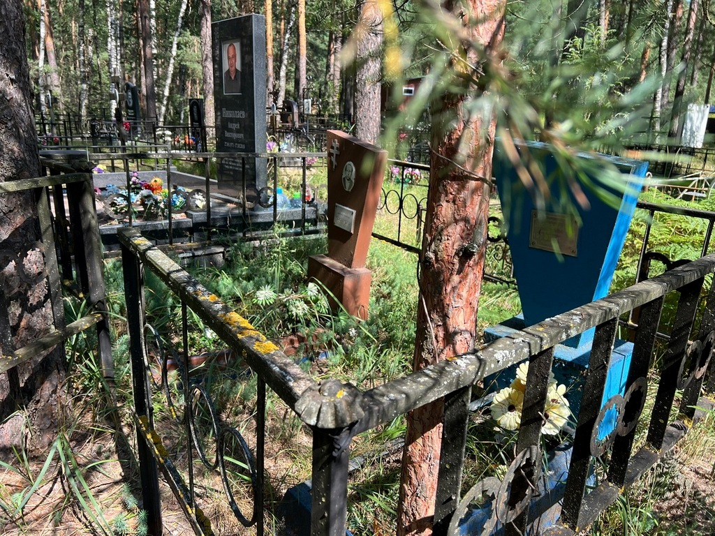 Дворянчиков Николай Николаевич