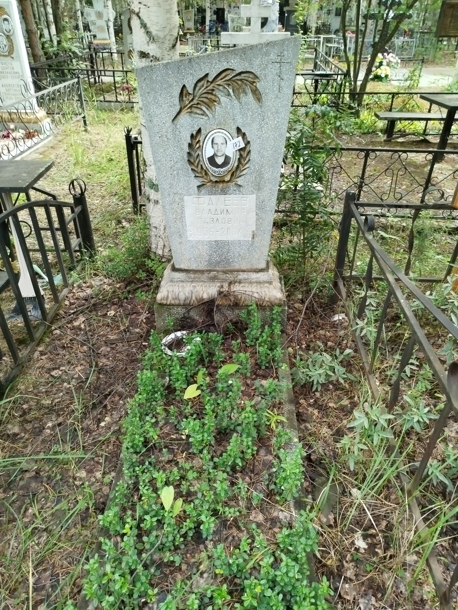 Фалеев Владимир Павлович