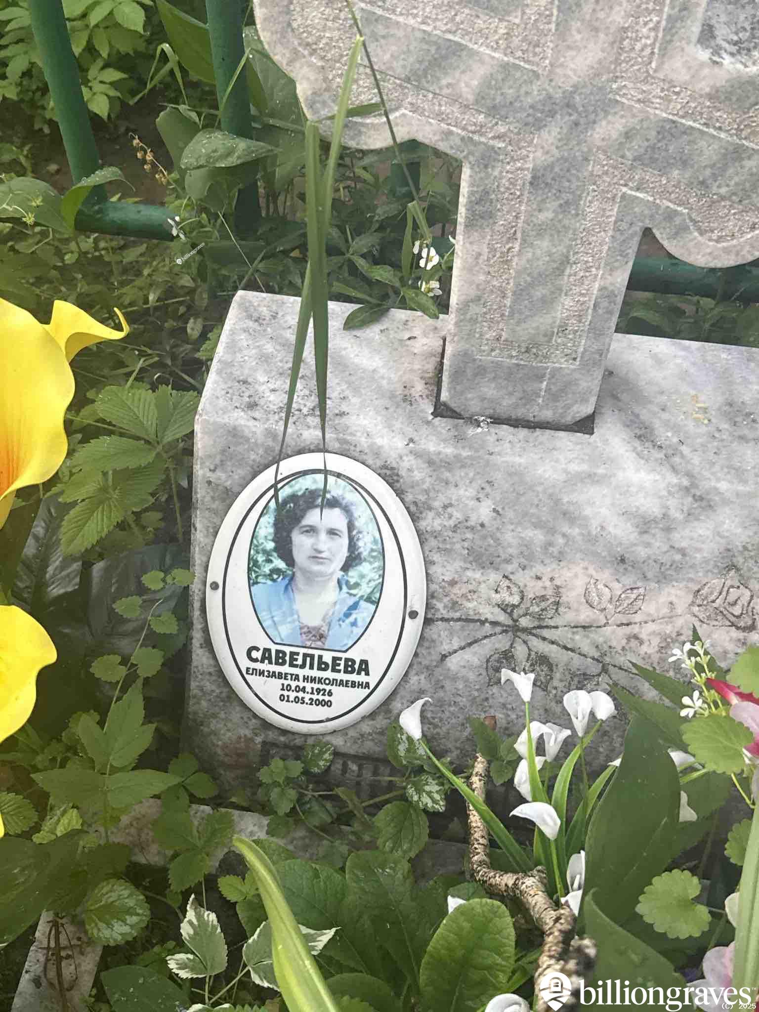 Савельева Елизавета Николаевна
