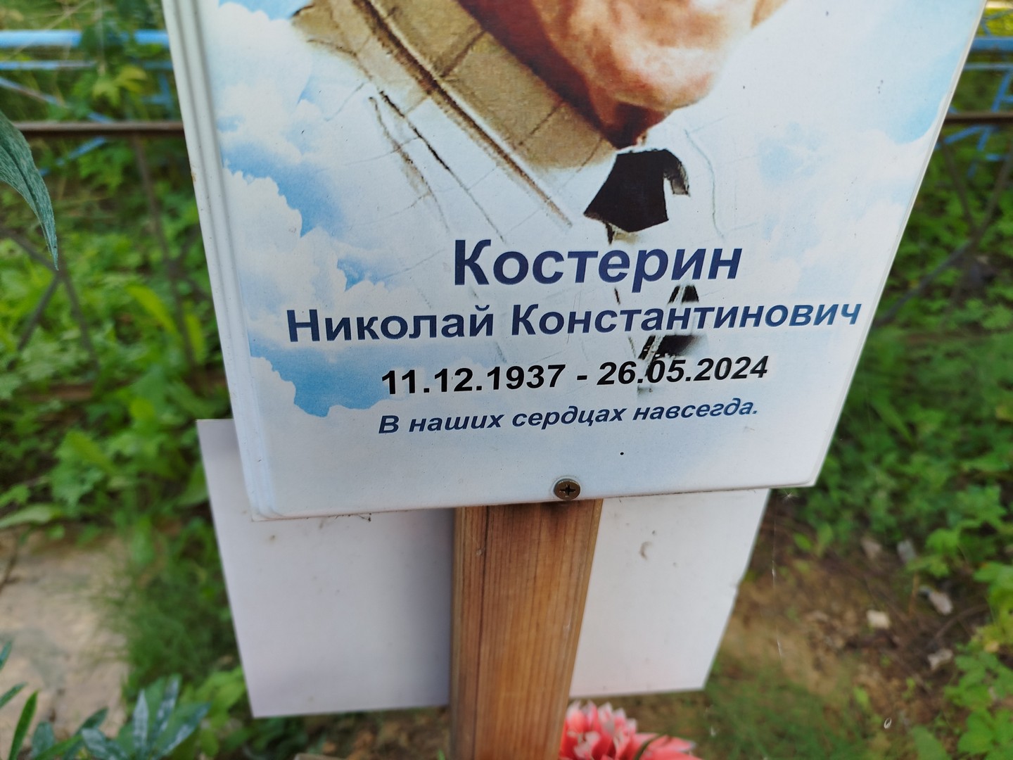 Костерин