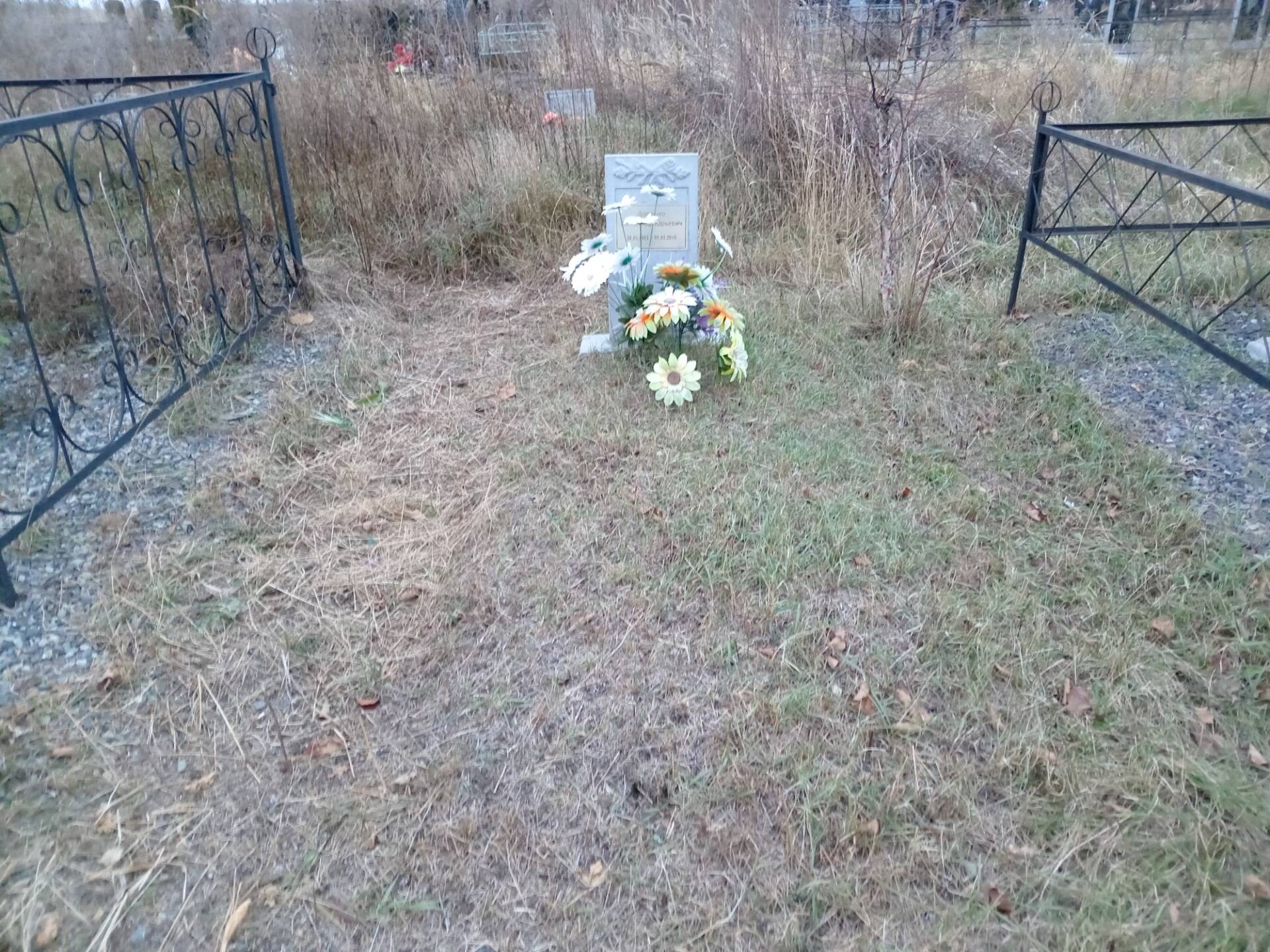 Дорошко Александр Юрьевич