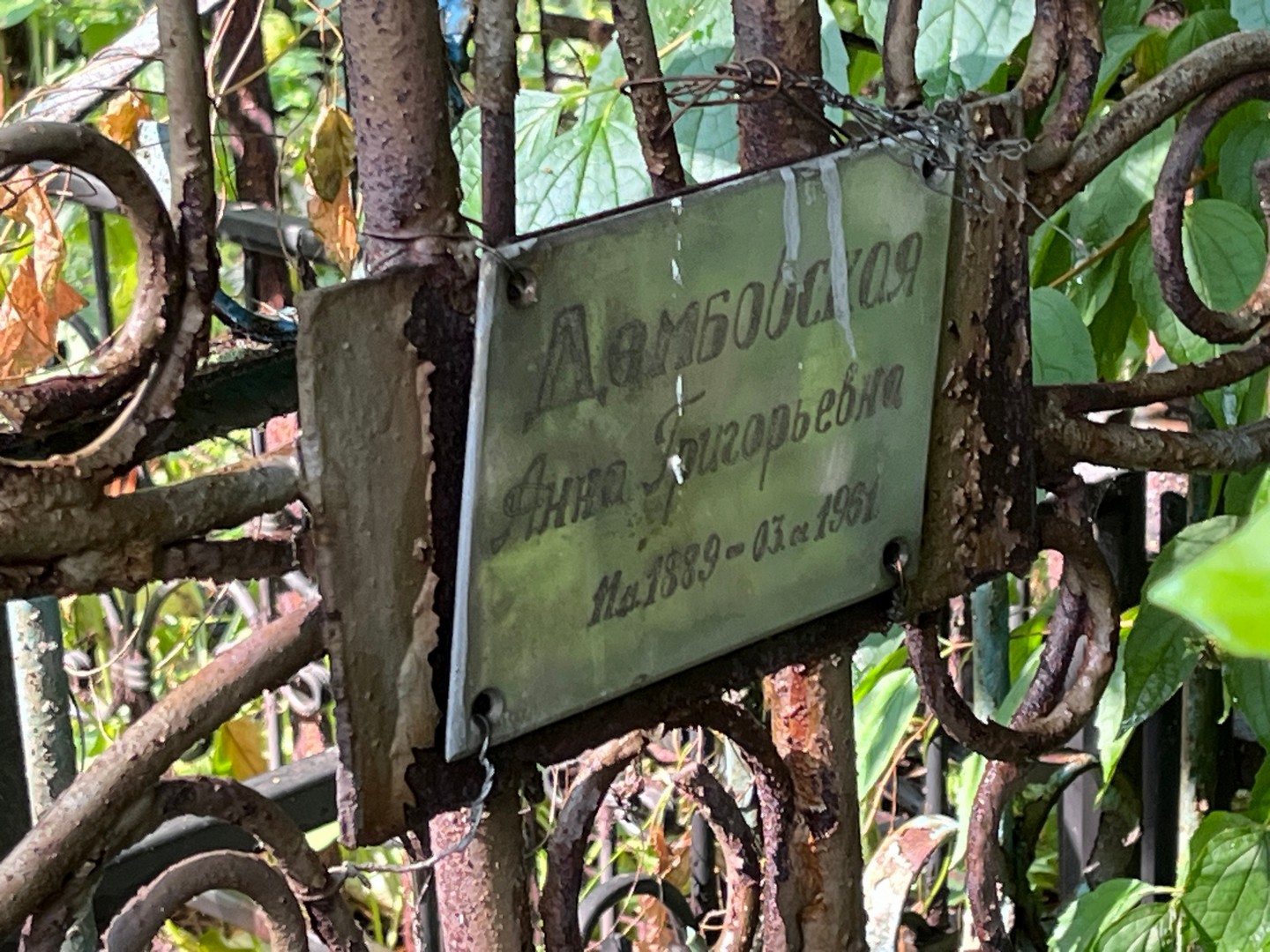Домбовская