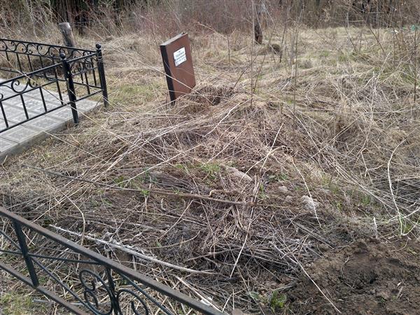 Касаткин Дмитрий Валерьевич
