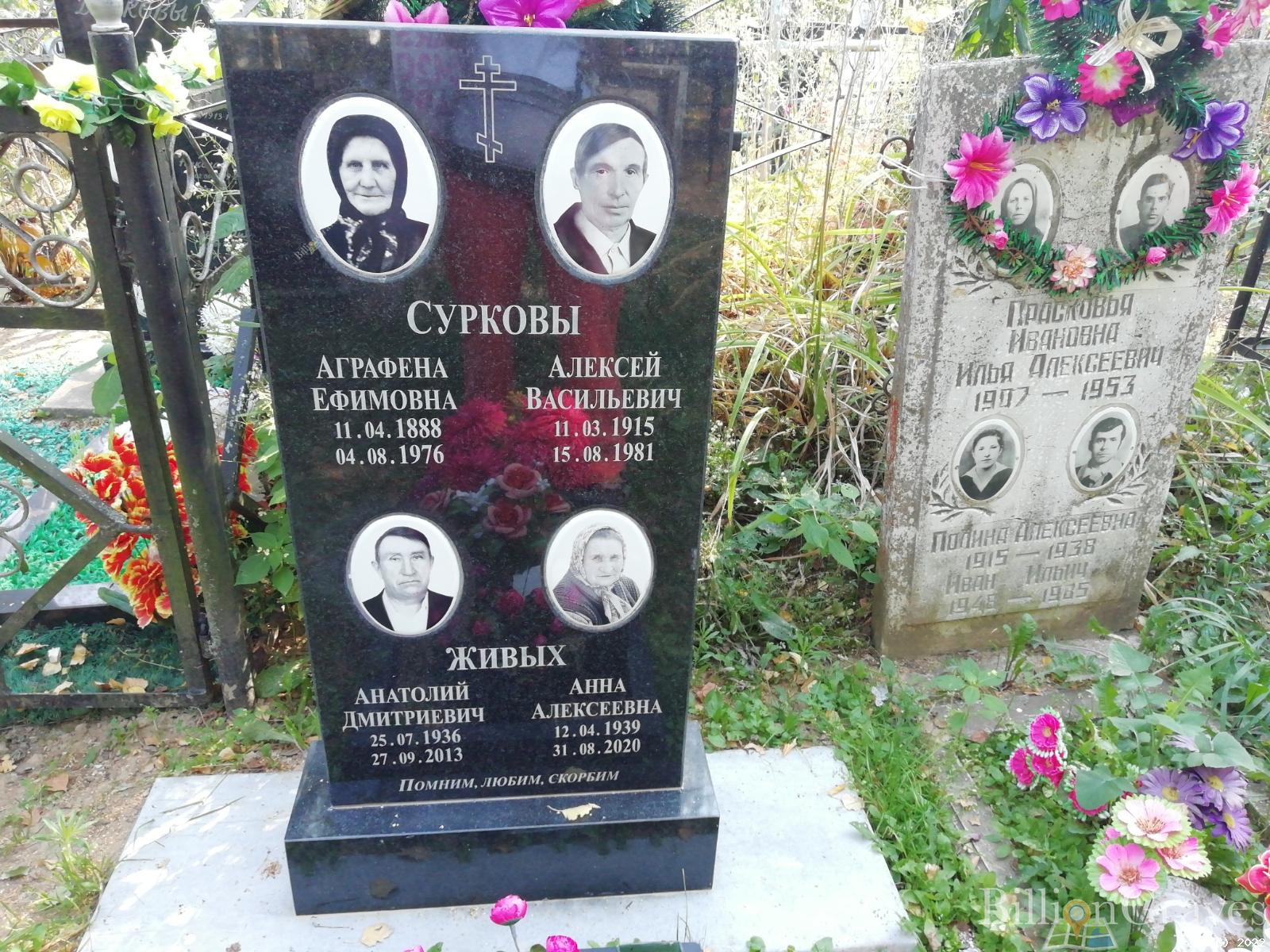 Живых Анатолий Дмитриевич