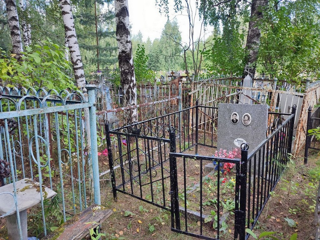 Деманин Александр Николаевич
