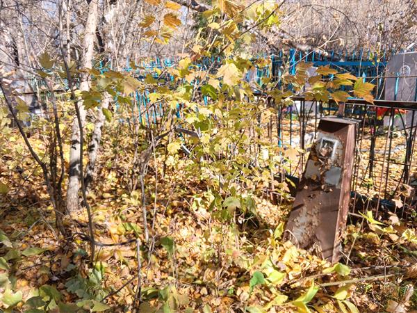 Сергеев Александр Николаевич