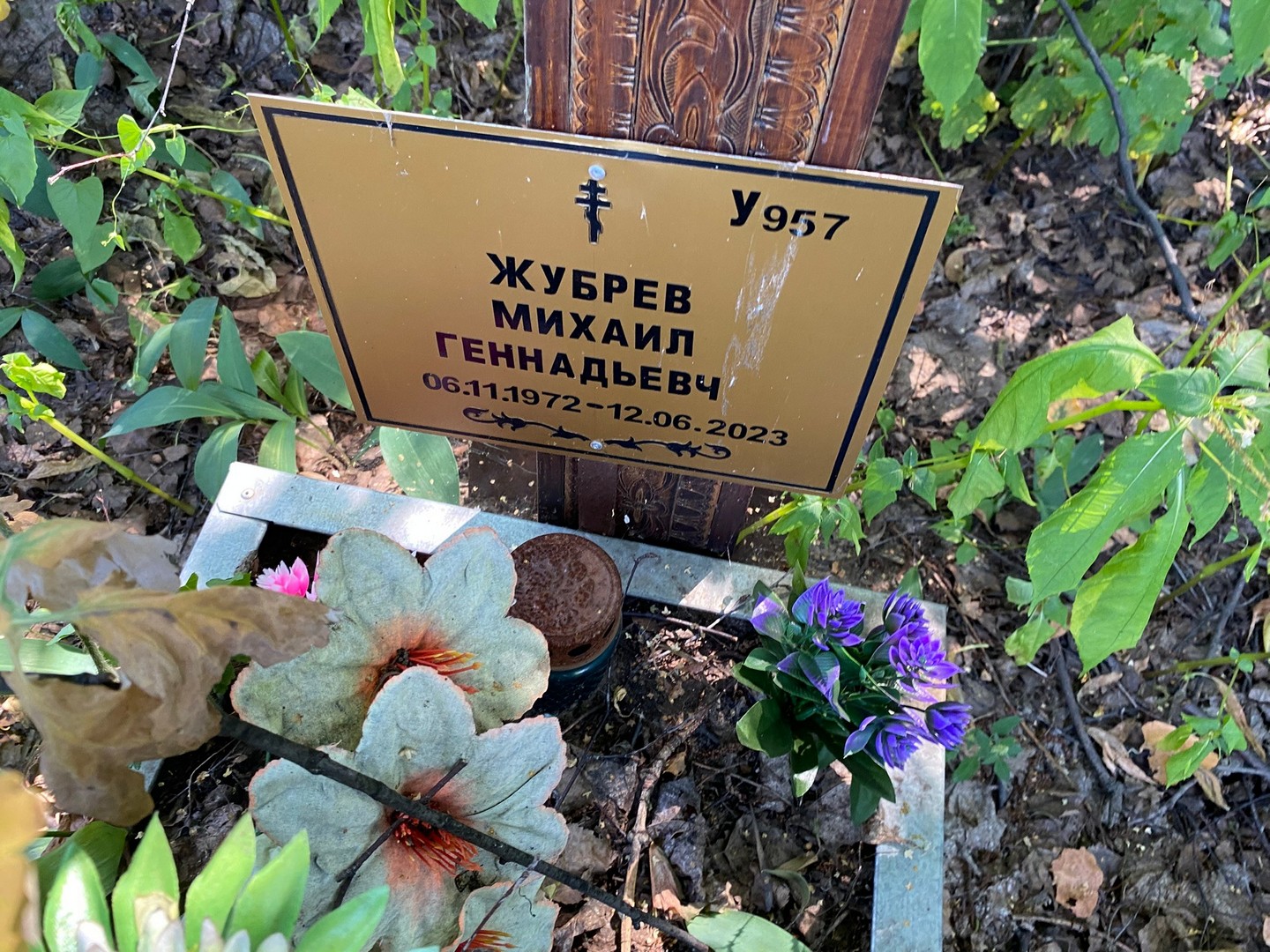 Жубрев