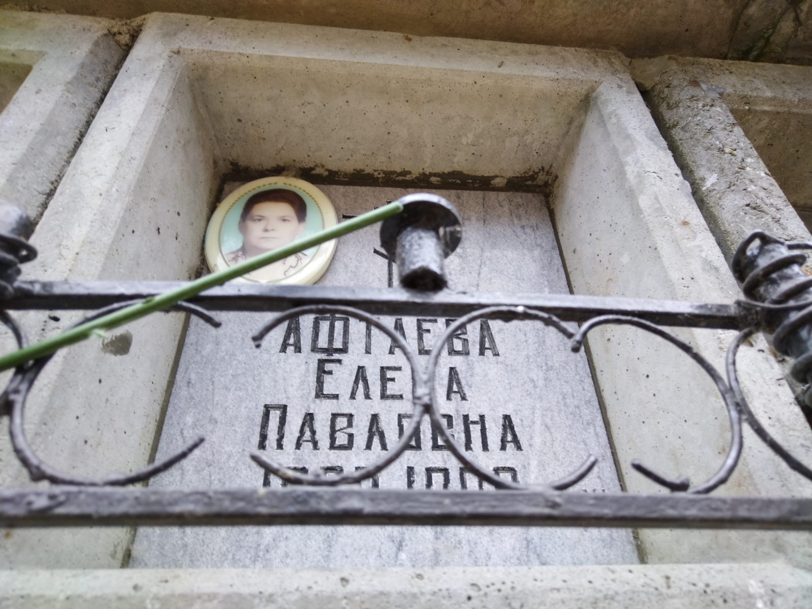 Афтаева Елена Павловна