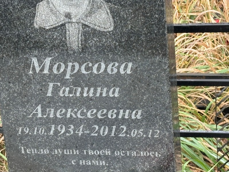 Морсова