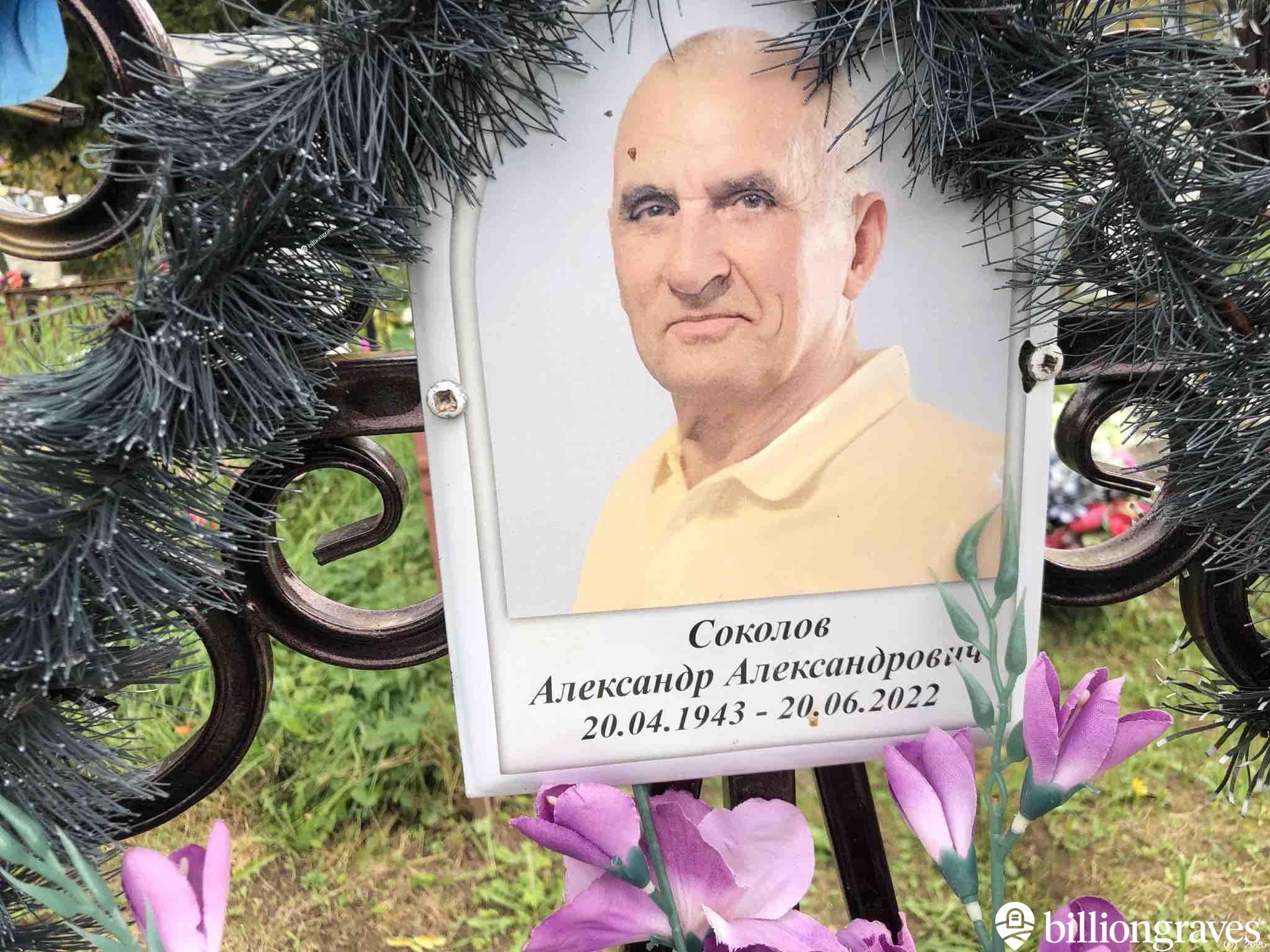 Соколов Александр Александрович