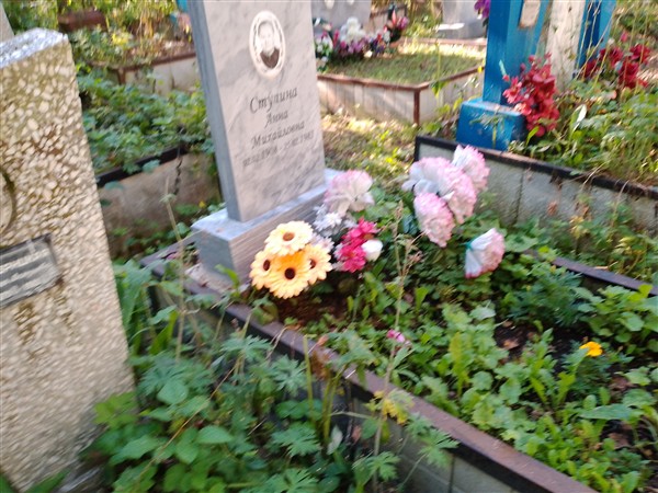 Ступина Анна Михайловна