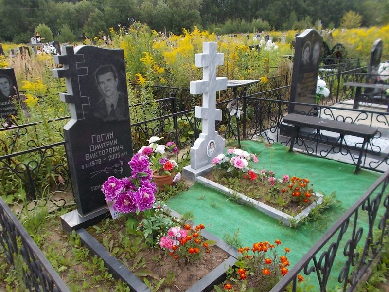 Гогин Дмитрий Викторович