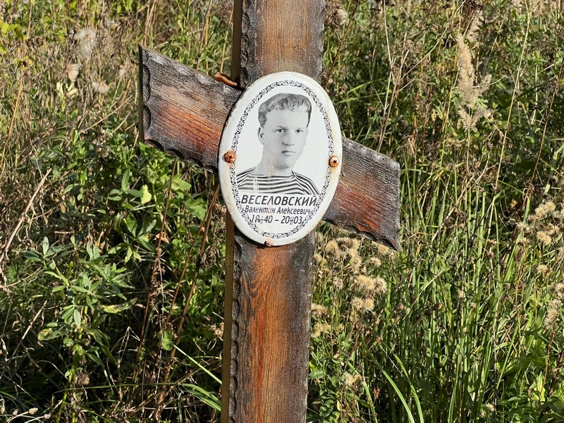 Веселовский