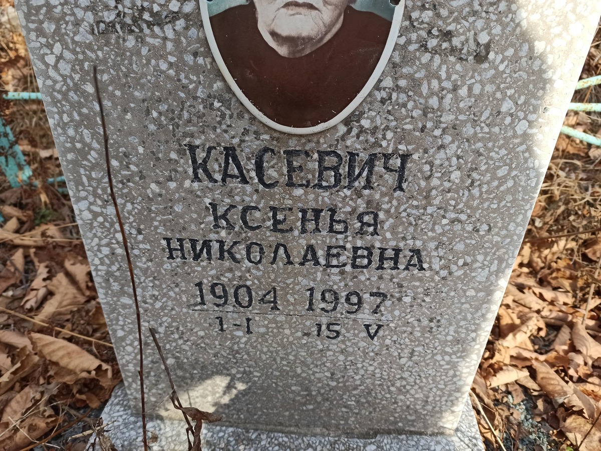Касевич Ксенья Николаевна