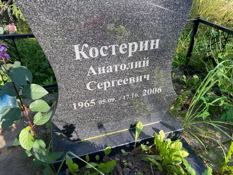 Костерин