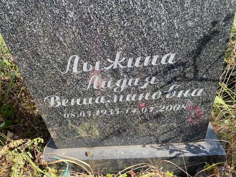 Лыжина