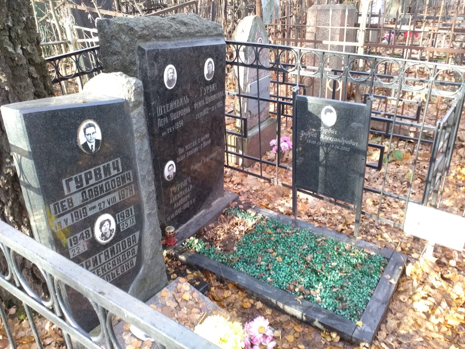 Гурвич Александр Львович