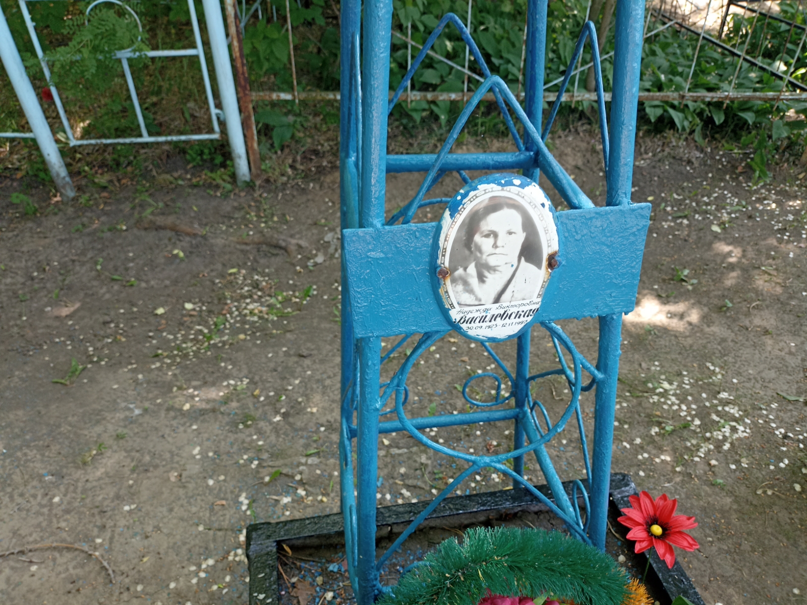 Василевская Надежда Викторовна