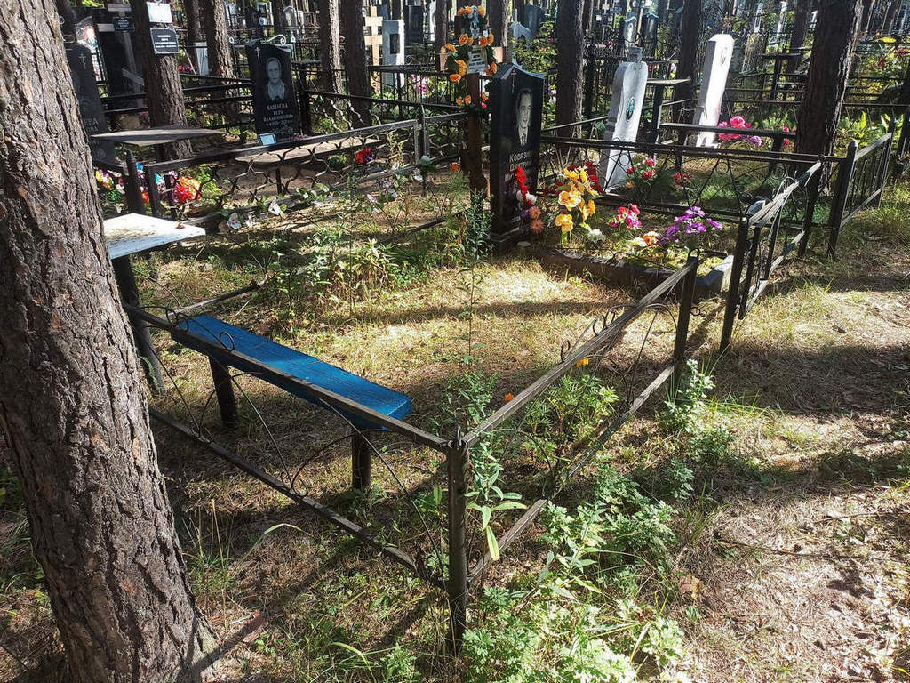 Ковязин Дмитрий Михайлович