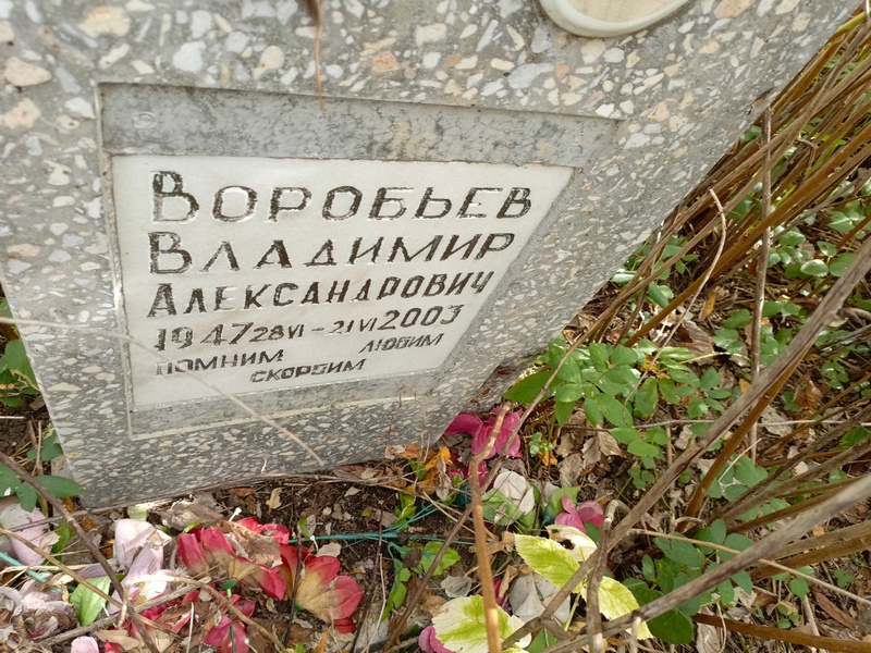 Воробьев
