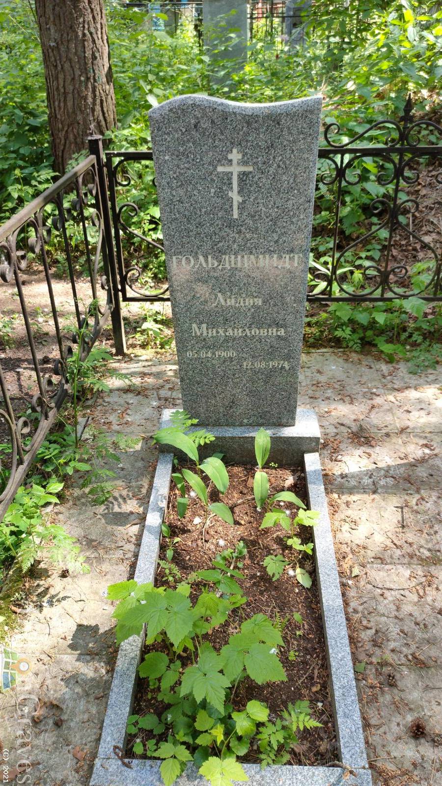 Гольдшмидт Лидия Михайловна