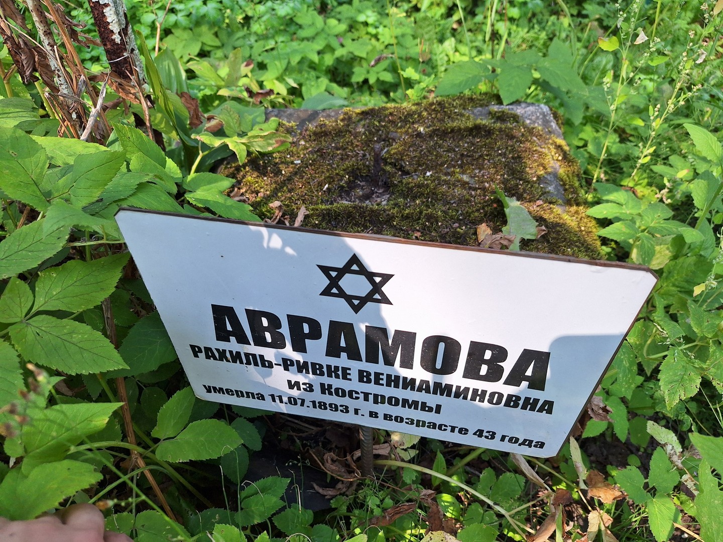 Рахиль-Ривке Аврамова Вениаминовна